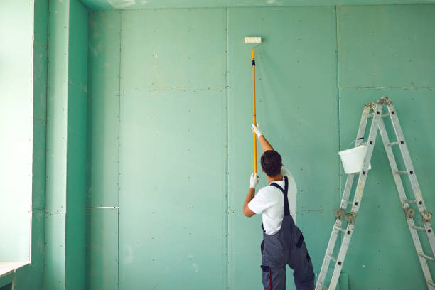Trusted Ames Lake, WA Mold Removal Experts