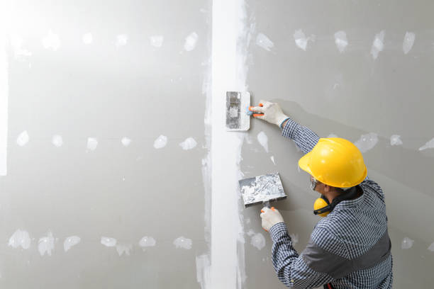 Best Basement Mold Removal  in Ames Lake, WA