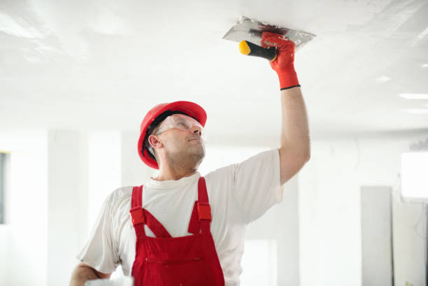 Dehumidification Services in Ames Lake, WA