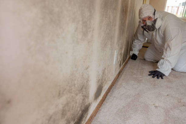 Best HVAC Mold Inspection and Cleaning  in Ames Lake, WA